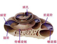 爆震性耳聾的癥狀表現及其治療方法有哪些？