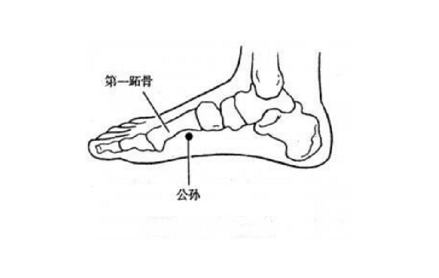 公孫穴的位置在哪里