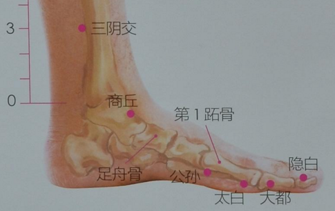 公孫穴的穴位配伍