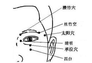 四白穴示意圖