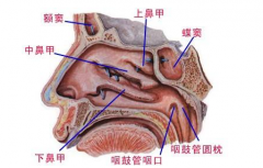 鼻竇氣壓性創傷的癥狀表現及其治療方法有哪些？