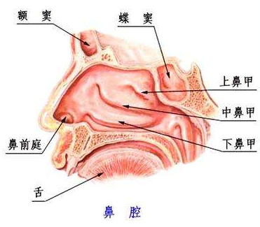 鼻竇氣壓性創傷