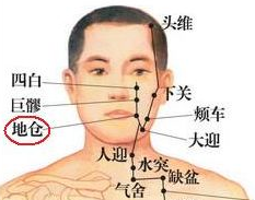 地倉穴的功效