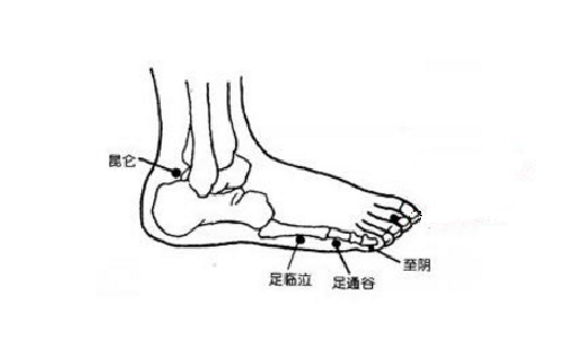 足臨泣穴的功效與作用