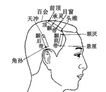 頭維穴的位置及其頭維穴