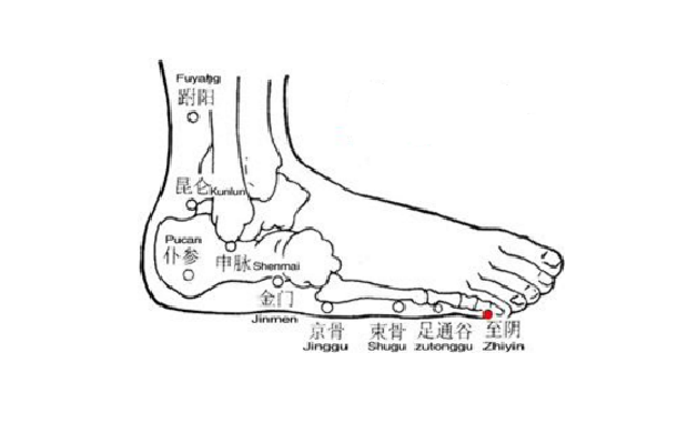 至陰穴的位置