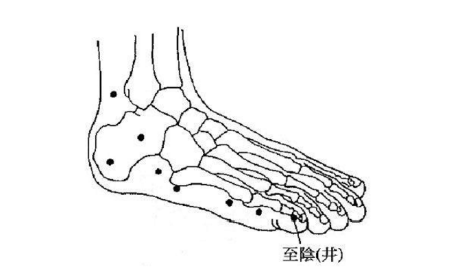 至陰穴的準確位置