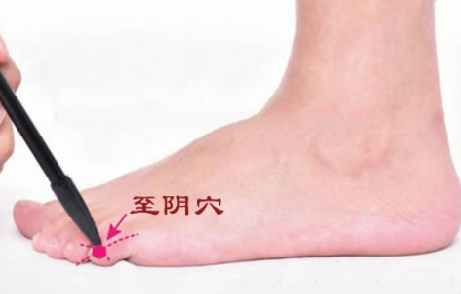 至陰穴的圖片