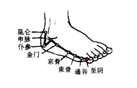 艾灸至陰穴