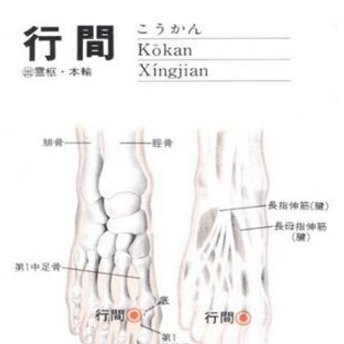行間穴的準(zhǔn)確位置及按摩