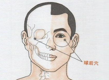 球后穴的作用