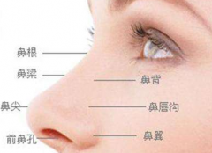 磕碰能導致創傷性鼻中隔穿孔嗎，治療方法有哪些？