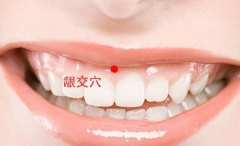 齦交穴的位置及其齦交穴治療痔瘡的方法詳解！