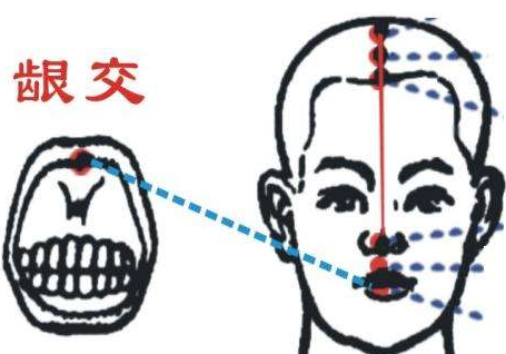齦交穴作用