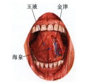 玉液穴示意圖