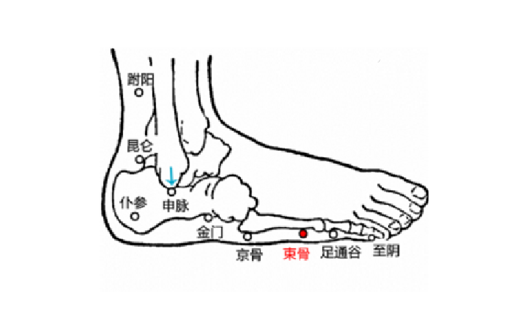 束骨穴的功效與作用