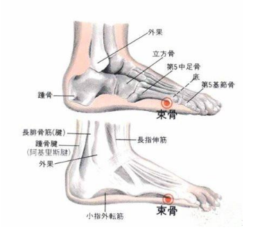 束骨穴的準確位置及按摩束骨穴的功效與作用！