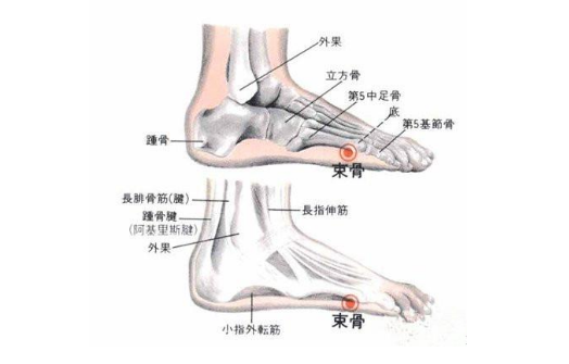 束骨穴的準確位置