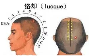絡卻穴位置