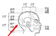 腦戶穴疼痛是什么原因呢？腦戶穴的按摩手法