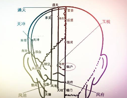 腦戶穴主治疾病