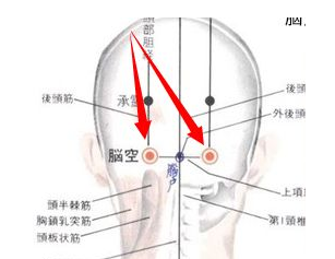 腦空穴的功效