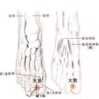 大敦穴的準確位置及按摩大敦穴的好處有哪些？