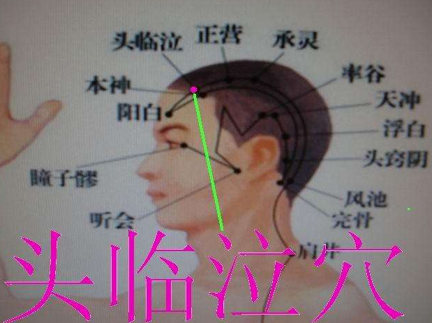 頭臨泣穴示意圖