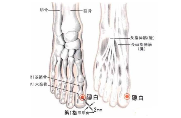 隱白穴的圖片