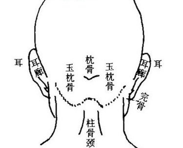 完骨穴主治病癥