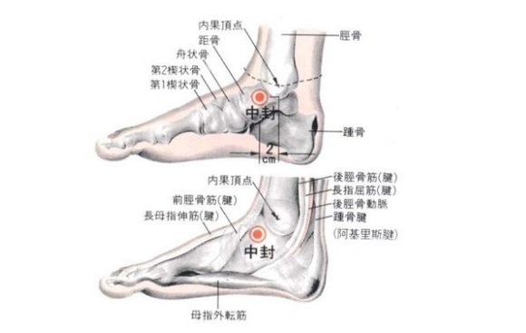 中封穴的圖片