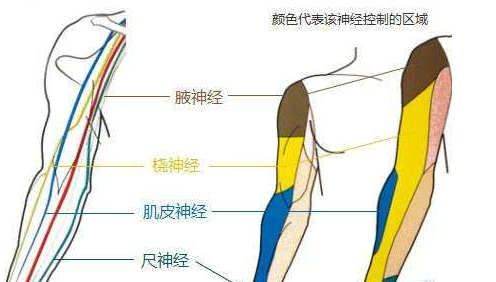 副神經(jīng)損傷檢查