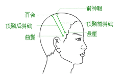 懸厘穴位位置
