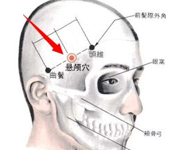 懸顱穴位位置