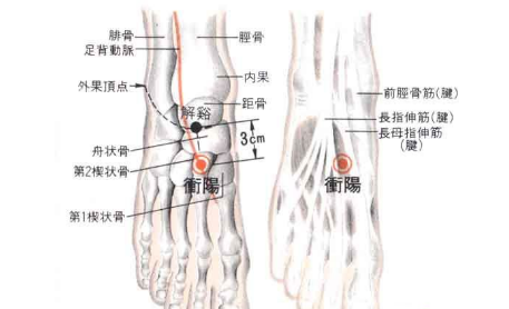 沖陽穴的圖片