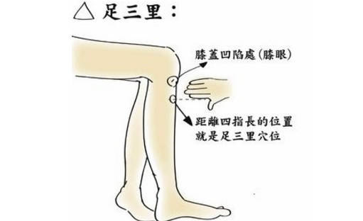 足三里穴的圖片