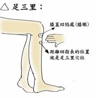 足三里穴的準確位置及艾灸足三里穴的好處有哪些？
