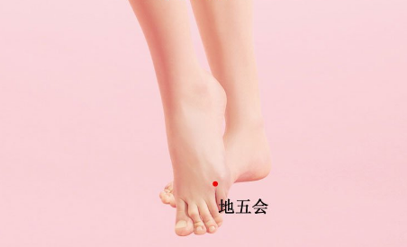 地五會(huì)穴的功效與作用