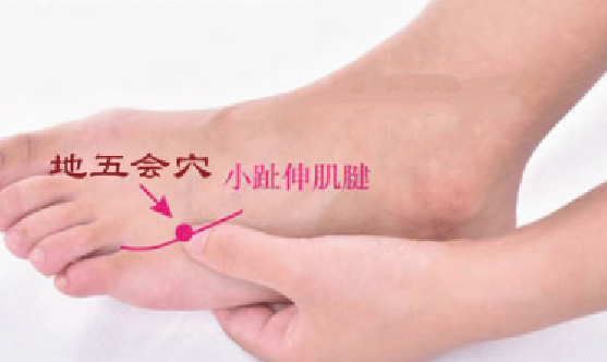 地五會(huì)穴的取穴方法