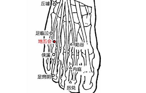 地五會(huì)穴的圖片