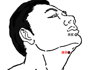 廉泉穴的圖片