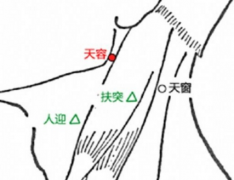 經常按摩天容穴的好處有哪些？天容穴的準確位置