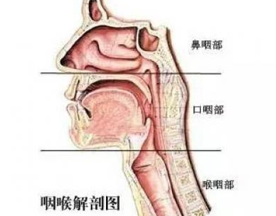 天容穴的圖片