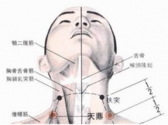 天鼎穴的功效與作用及其天鼎穴位置圖解！