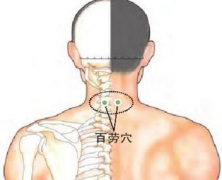 頸百勞穴位置及其按摩頸百勞穴治療手指發(fā)麻的方法！