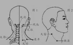 天窗穴——長(zhǎng)在身上的暈車藥，天窗穴位置怎么找？