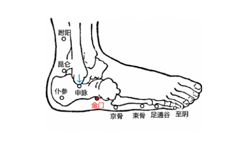 金門穴的準(zhǔn)確位置