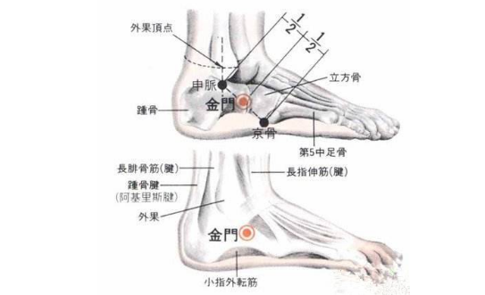金門穴的標(biāo)準(zhǔn)定位