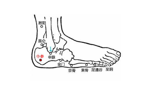 仆參穴位置