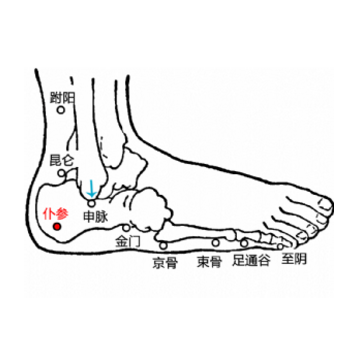 仆參穴疼是什么原因？它的準確位置及其功效與作用有哪些？